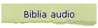 Biblia audio