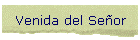Venida del Seor